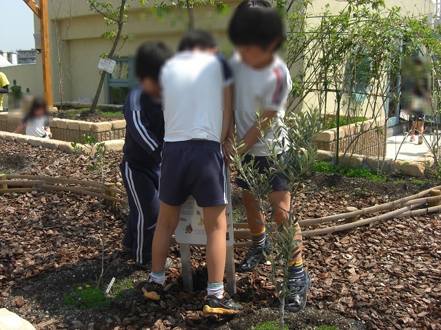 6 オリーブの看板設置（きれい家レオンOlive+ eco-project）