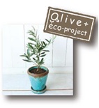 Olive+ eco-project4